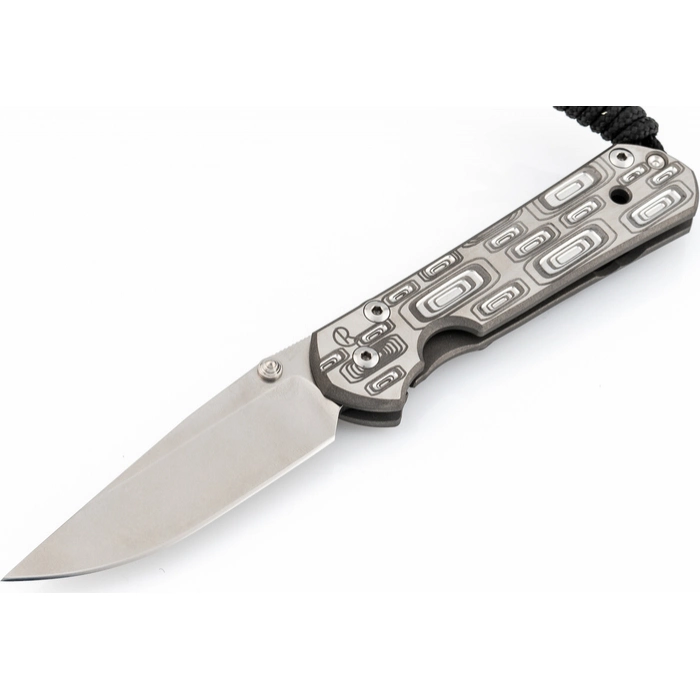 Нож складной Chris Reeve Large Sebenza 21, сталь CPM S35VN, рукоять титан с рисунком Perception